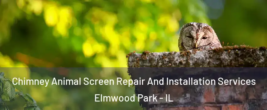  Chimney Animal Screen Repair And Installation Services Elmwood Park - IL
