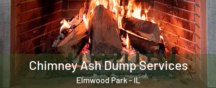  Chimney Ash Dump Services Elmwood Park - IL