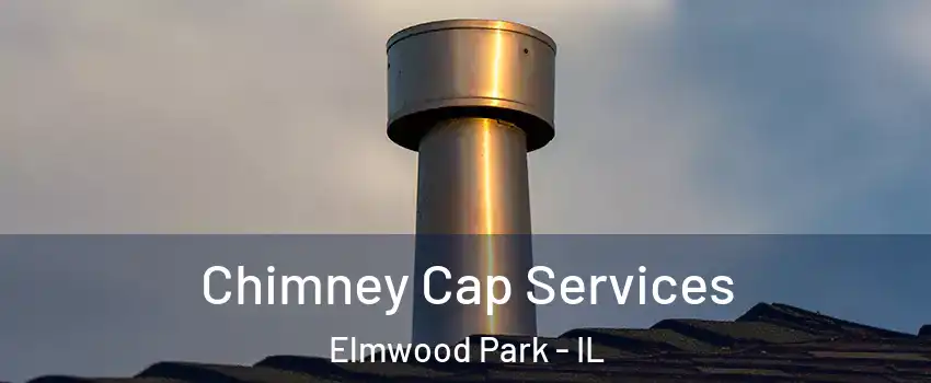  Chimney Cap Services Elmwood Park - IL