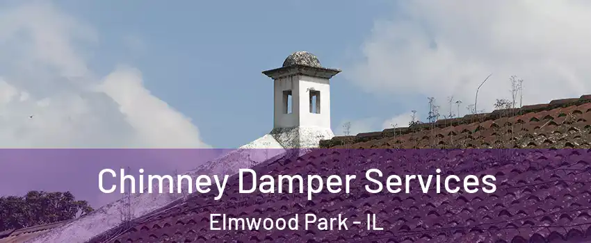  Chimney Damper Services Elmwood Park - IL