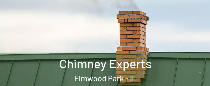  Chimney Experts Elmwood Park - IL