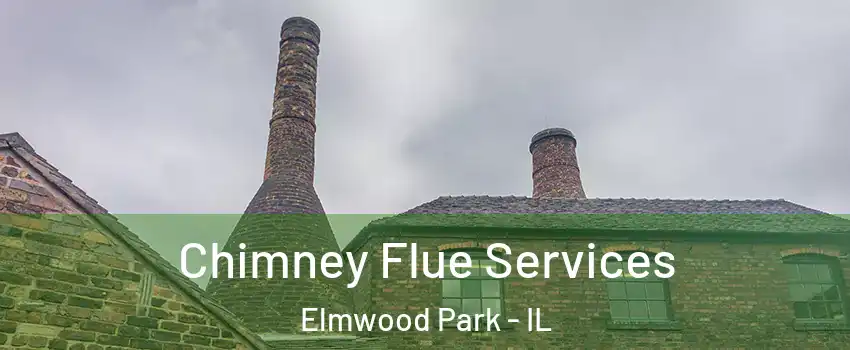  Chimney Flue Services Elmwood Park - IL