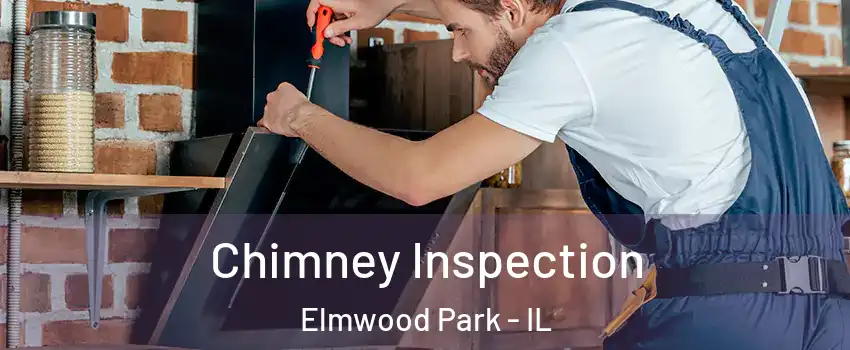  Chimney Inspection Elmwood Park - IL