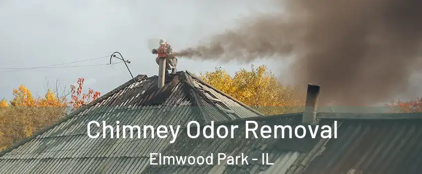  Chimney Odor Removal Elmwood Park - IL