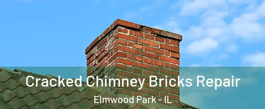  Cracked Chimney Bricks Repair Elmwood Park - IL