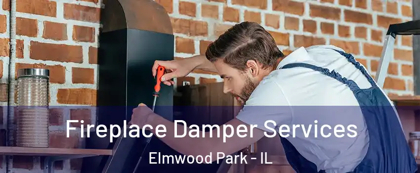  Fireplace Damper Services Elmwood Park - IL