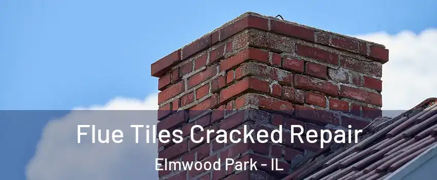  Flue Tiles Cracked Repair Elmwood Park - IL
