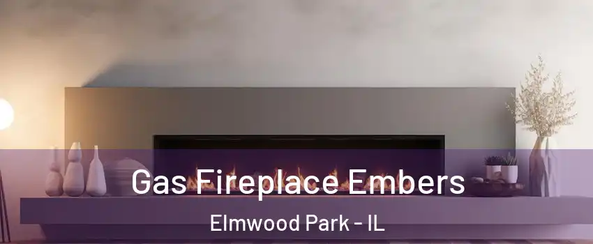  Gas Fireplace Embers Elmwood Park - IL
