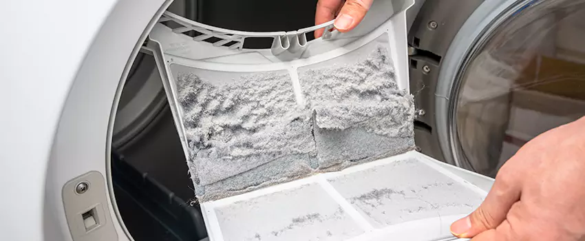 Best Dryer Lint Removal Company in Elmwood Park, Illinois