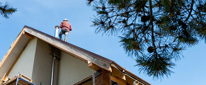Birds Removal Contractors from Chimney in Elmwood Park, IL