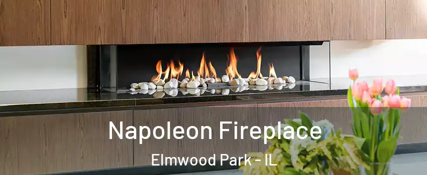  Napoleon Fireplace Elmwood Park - IL