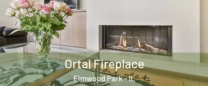  Ortal Fireplace Elmwood Park - IL
